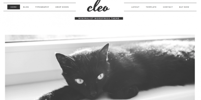 Cleo Theme