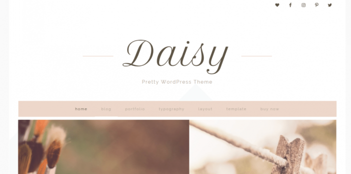 Daisy Theme