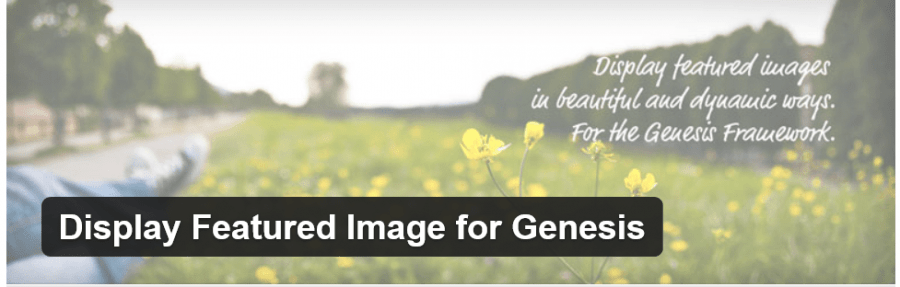 Display Featured Image For Genesis