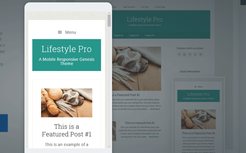 LifeStyle Pro Mobile View