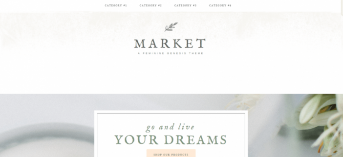 Market Pro Theme