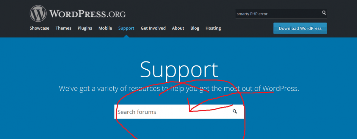 WordPress Search