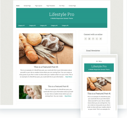 lifestyle Pro Theme